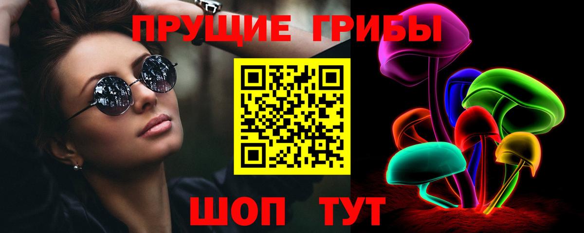 Заинск  Псилоцибиновые грибы Psilocybe  Вход с VPN 